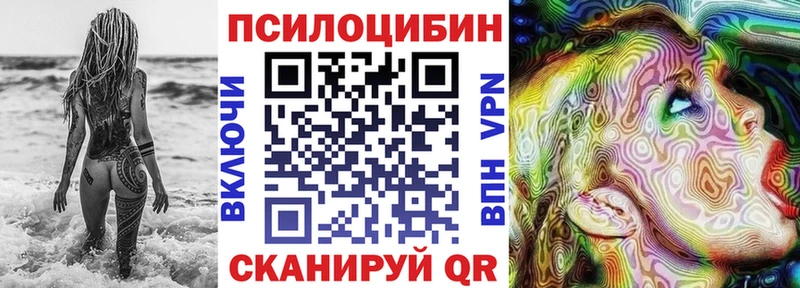 как найти   Моздок  Псилоцибиновые грибы Cubensis 