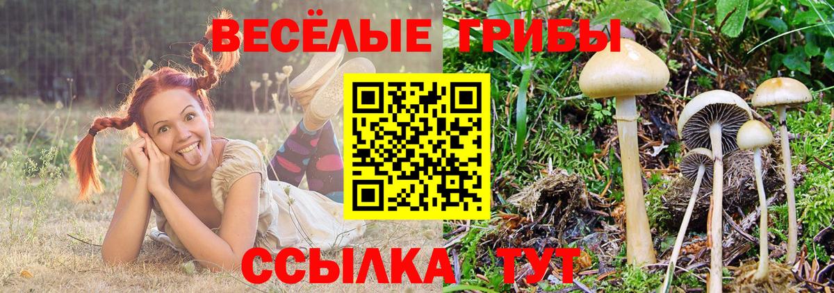 Псилоцибиновые грибы ЛСД  Вход с VPN  где купить   Моздок 