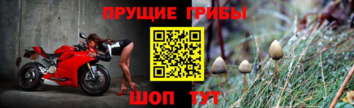 Псилоцибиновые грибы мицелий Моздок